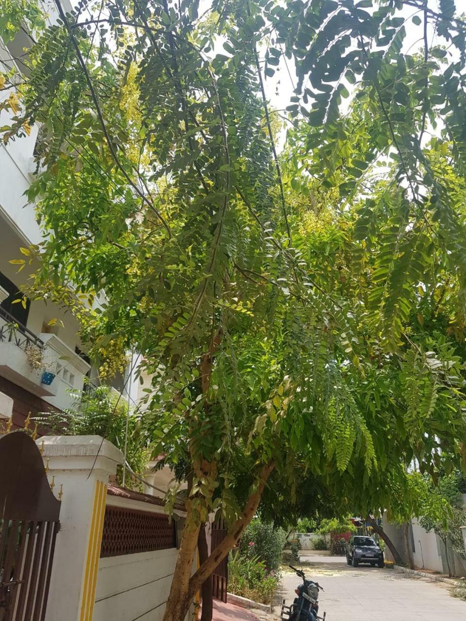Royal Palace Guest House Madras Buitenkant foto